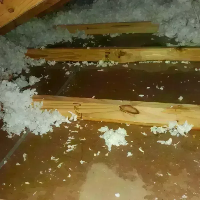 Attic Water Damage in India Hook, SC